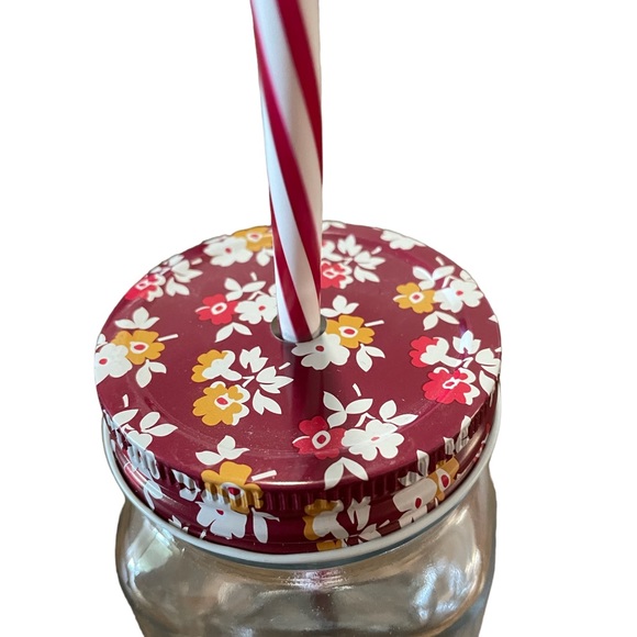 The Pioneer Woman Drinking Mason jars with lids and straws NWOT set of 4 - Picture 4 of 4